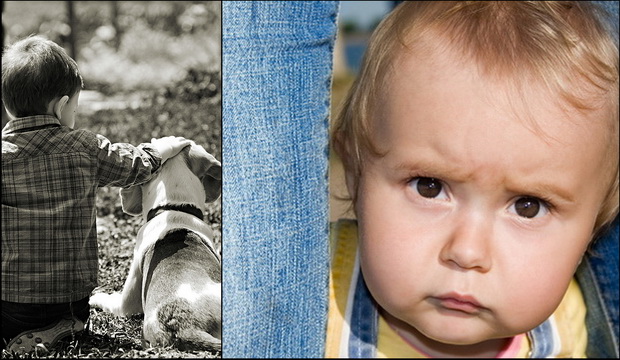 Стиль воспитания ребенка связь с мамой