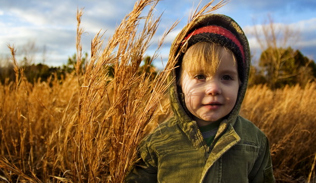 спокойный характер Как научить ребенка танцевать